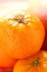 Mandarin Orange Bliss E-liquid