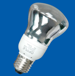 Compact Fluorescent Lamp B-1