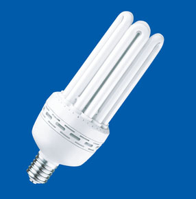 Compact Fluorescent Lamp B-5