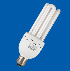 Compact Fluorescent Lamp B-7