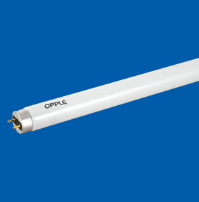 T8 Fluorescent Lamp