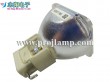 Osram P-VIP 165/1.0 E17.6 Projector Lamp