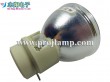 Osram P-VIP 180/0.8 E20.8 Projector Lamp