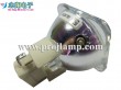 Osram P-VIP 180-230/1.0 E20.6 Projector Lamp