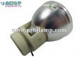 Osram P-VIP 230/0.8 E20.8 Projector Lamp