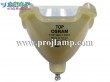 Osram P-VIP 300/1.3 P22.5 Projector Lamp