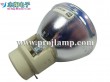 Osram P-VIP 330/1.0 E20.9 Projector Lamp