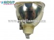 Osram P-VIP 350/1.3 E21.8e Projector Lamp