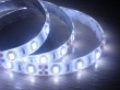 White LED Flex Strips, 5630LED, 30/60LEDs/M