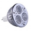 3W MR16 LED Lamp