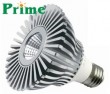 10W PAR30 LED Lamp