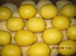 fresh lemon