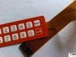 FPC Membrane Switches (PK-FPCS-003)