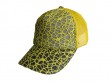 mesh cap