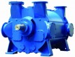 liquid ring vacuum pump 2BE3