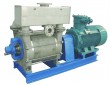 water ring vacuum pump 2BE1-202