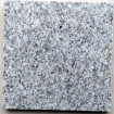 Honed Natural Granite Cut to Size for Flooring / W