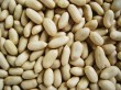 blanched peanut kernels, long type