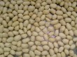 blanched peanut kernels, round type