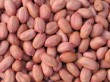 Peanut kernels, long type