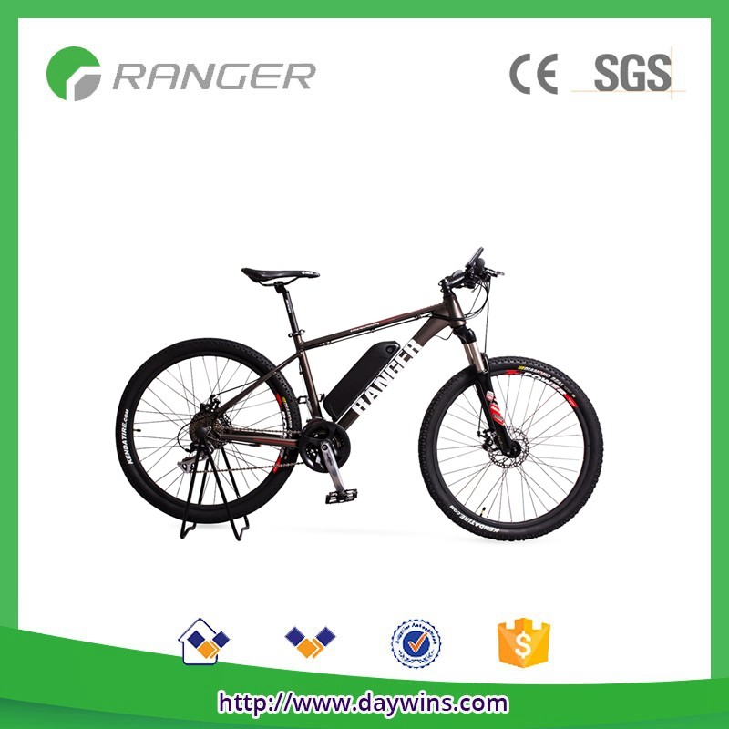 Electric Mountain Bike for adult