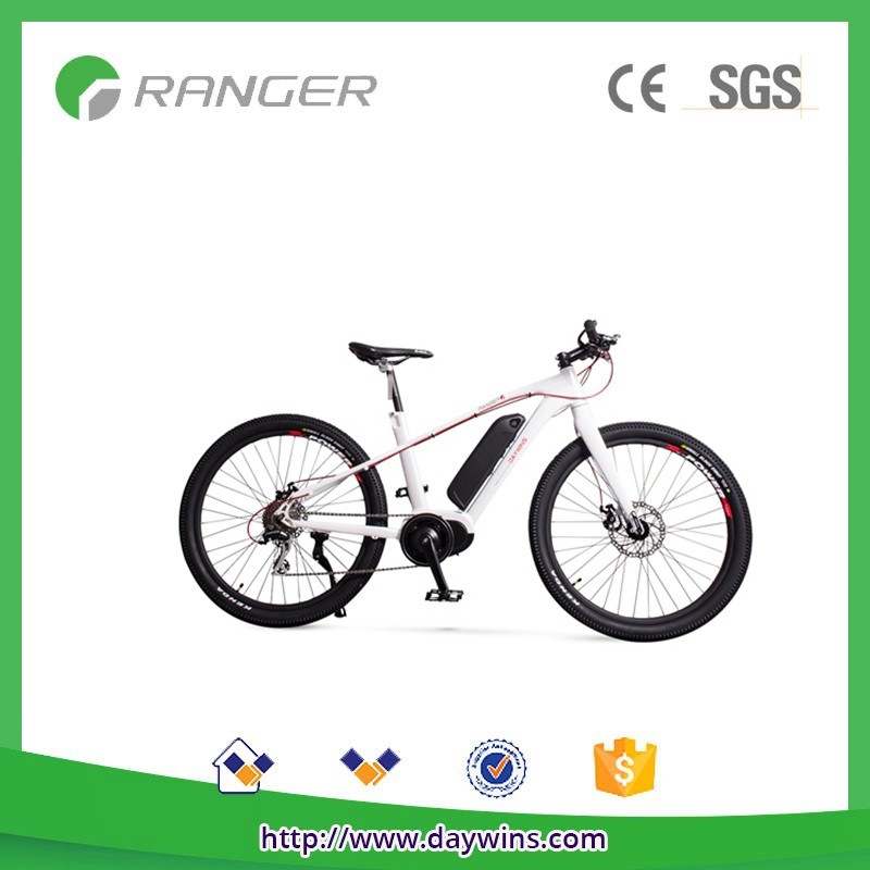 Mountain E-bike