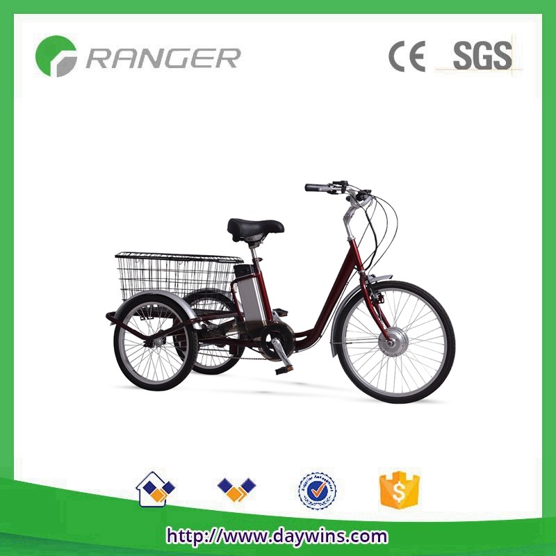 Swing Tricycle
