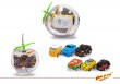 Mini RC car in peach box