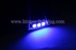 KINGER-fstoon-3SMD-5050