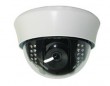 Color CCD Plastic Dome Camera (WD-D4205S)