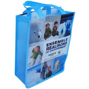laminated non woven promotional bag