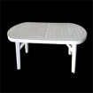 Plastic table mould 