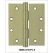 Brass Plain Joint Hinge with Tip