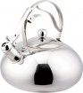 Stainless steel kettle---KT004