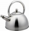 Stainless steel kettle---KT006