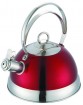 Stainless steel kettle---KT008