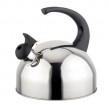 Stainless steel kettle---KT011