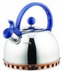 Stainless steel kettle---KT021