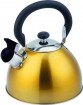 Stainless steel kettle---KT023