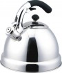 Stainless steel kettle---KT032
