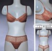 2011 new style elegant lady's bra set