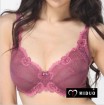 Romantic Desire Underwire Bra And Floral Embroider