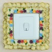 light switch cover STL-1013
