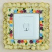light switch cover STL-1013