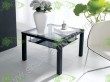 Coffee Table (SJ-060D)