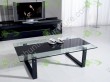 Coffee Table (SJ-063)