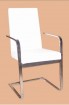 Dining Chair (SY-036)