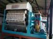China paper egg tray making machinery