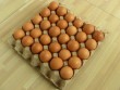 SH-paper egg tray molding machine supplier