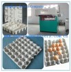 SH series reciprocating egg tray machine